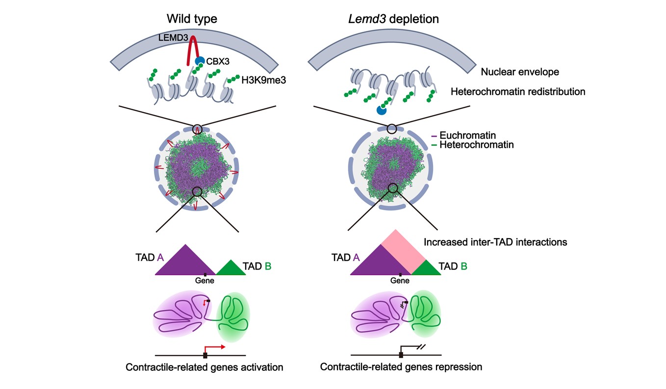 2a96b642ba63409c80d504e377ef69c2.jpg 图片1.jpg