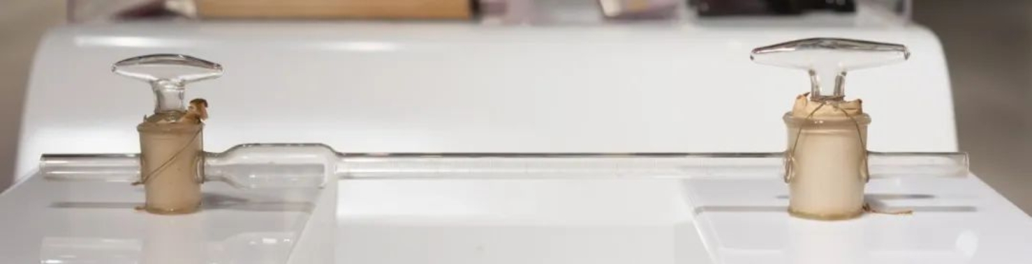 21fbb553ecaa45af8ff75d2f97233468.jpeg 3.jpeg